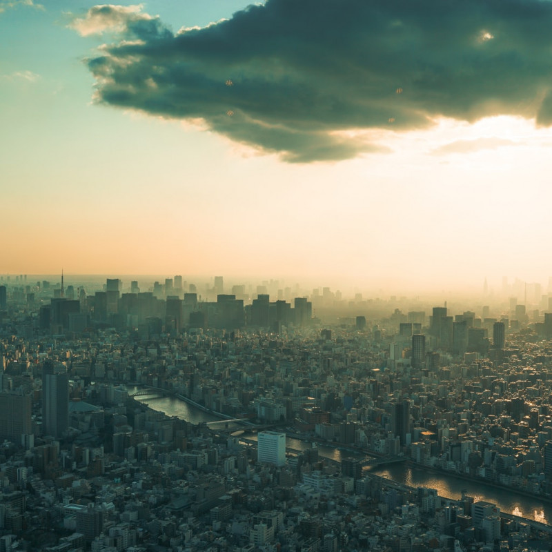 Alfredo Williamson III - Set and Exhibit Designer